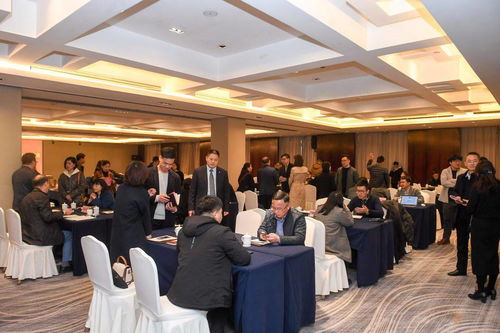 全市科技人才工作會及外國人才中介機(jī)構(gòu)對接活動在桐舉行