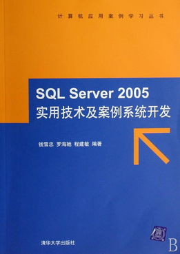 SQL Server 2005實用技術(shù)及案例系統(tǒng)開發(fā) 附光盤的計算機應(yīng)用案例學習指南